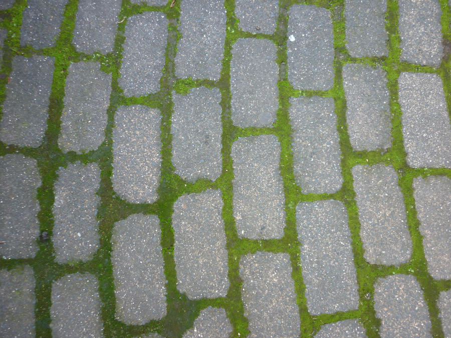 Unrestricted Texture - Brick and Moss Path 1