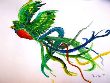 Painter Quetzal