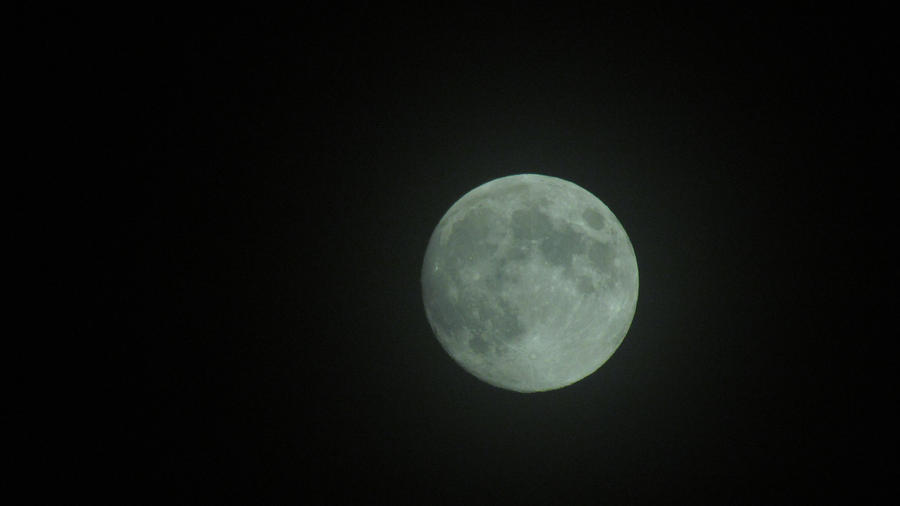 Moonlight Shadow Example Moonlight Shadow_1 by Lycorisandflames on DeviantArt