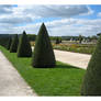 Nuages sur le Palais 4