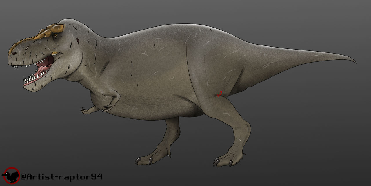Tyrannosaurus Rex 2022 Reconstruction By Artist raptor94 On DeviantArt tyrannosaurus-rex-2022-reconstruction-by-artist-raptor94-on-deviantart