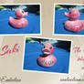 Saki the Cherry Blossom Duck