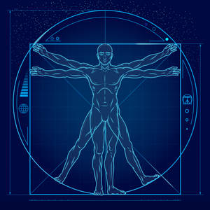 futuristic vitruvian man