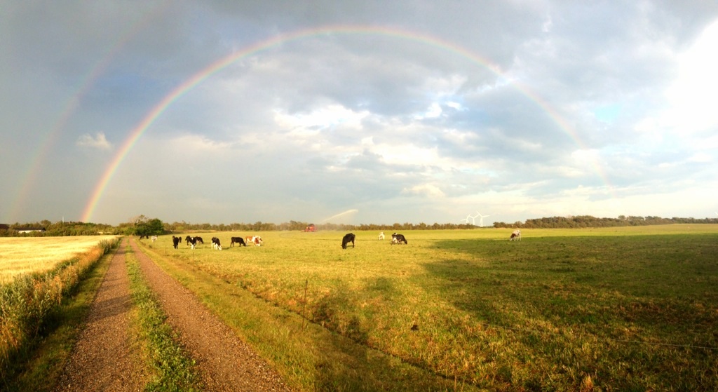 Pot o' Gold