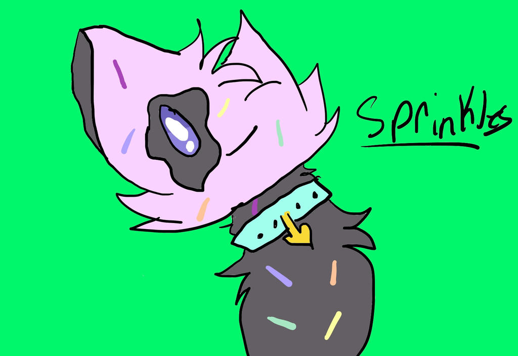 sprinkles the cat by RachuNamu on DeviantArt