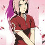 What Sakura Would Actually Look Like As An Adult 4