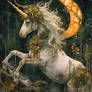 The Moon Courser