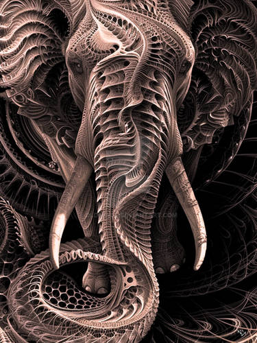 Fractal Expression of an Elephant