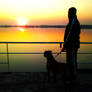 Man and Dog at sun set