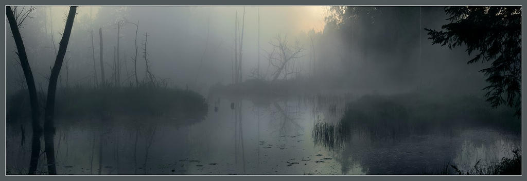 Тихи пруды холод и мрак вод их. Мрачный туман на болоте. Болото ночью туман. Мрачное болото. Туман на болоте.