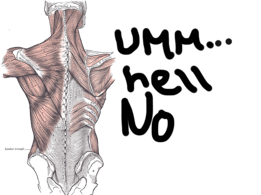 Subhuman Back Human Anatomy - Back by heyitsjill on DeviantArt
