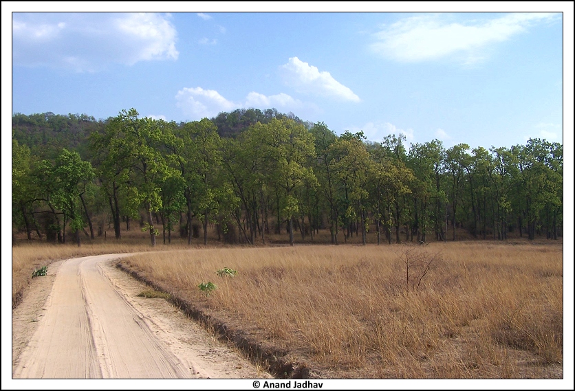 Bhandavgarh - Landscape
