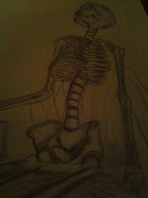 Skeleton Study 01