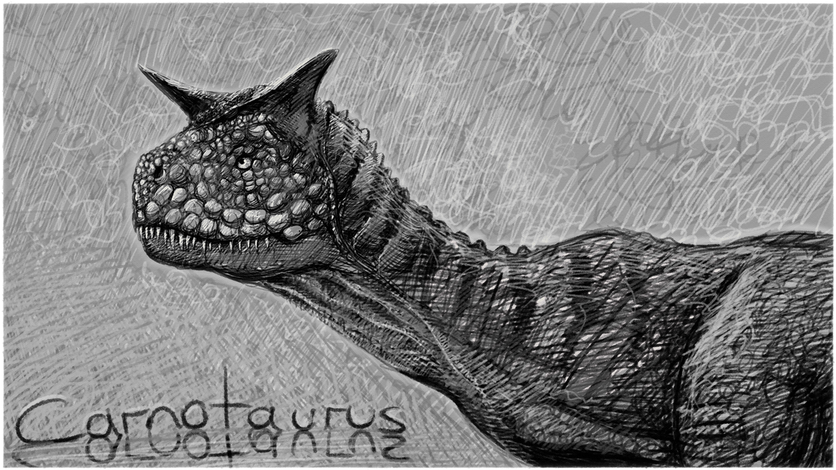 Carno Sketch Study 17.12.23 by Amarond on DeviantArt