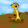 Timon