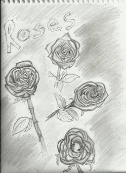 4 Roses