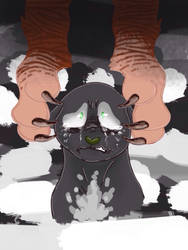 You Won't Say a Word, Ravenpaw