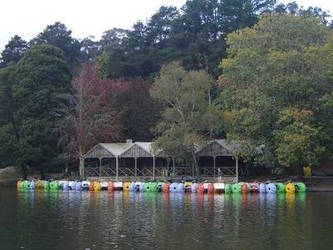 lake rainbow