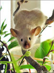 Mouse 2 by Eliwyn