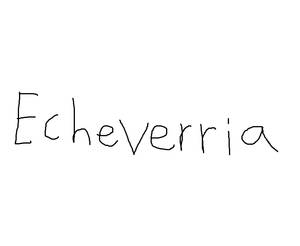 Echeverria Logo Early