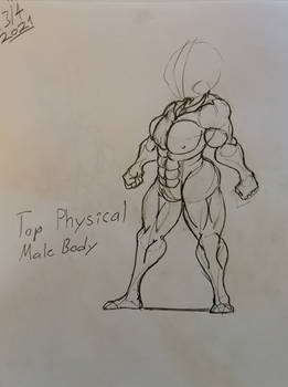 IMale muscle Anatomy part 1