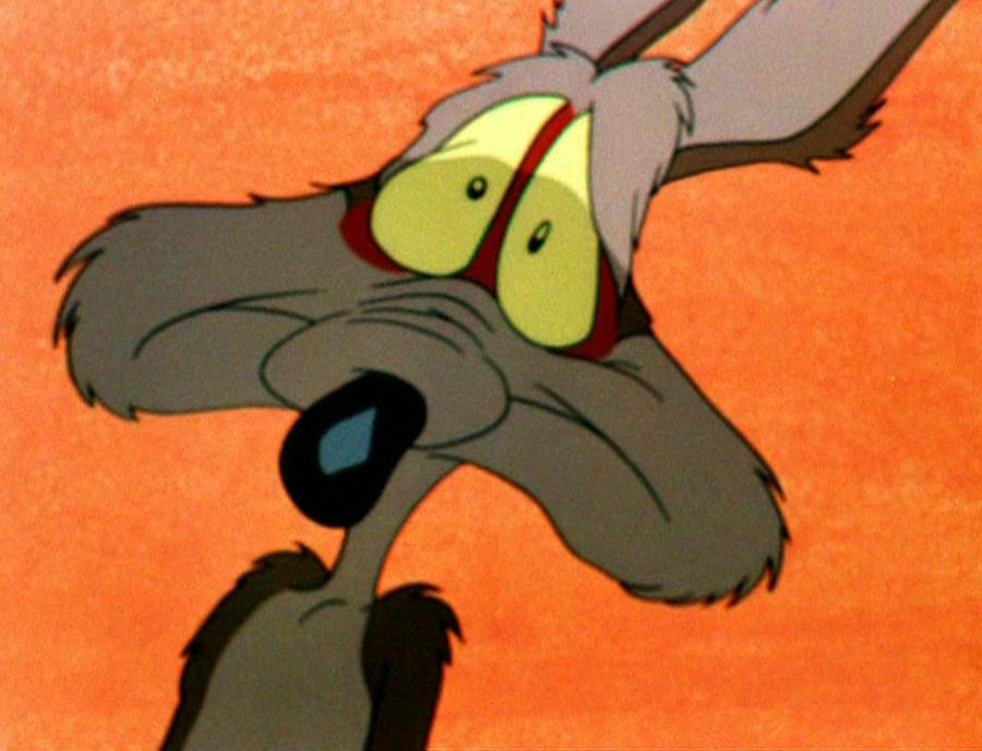 Uh Oh Wile E coyote in trouble by Bjnix248 on DeviantArt
