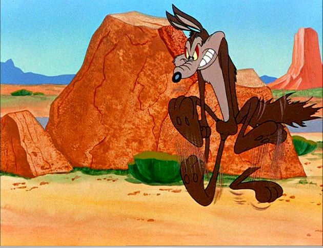 Wile E Coyote is Mad