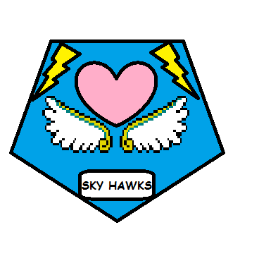 The Sky Hawks patch