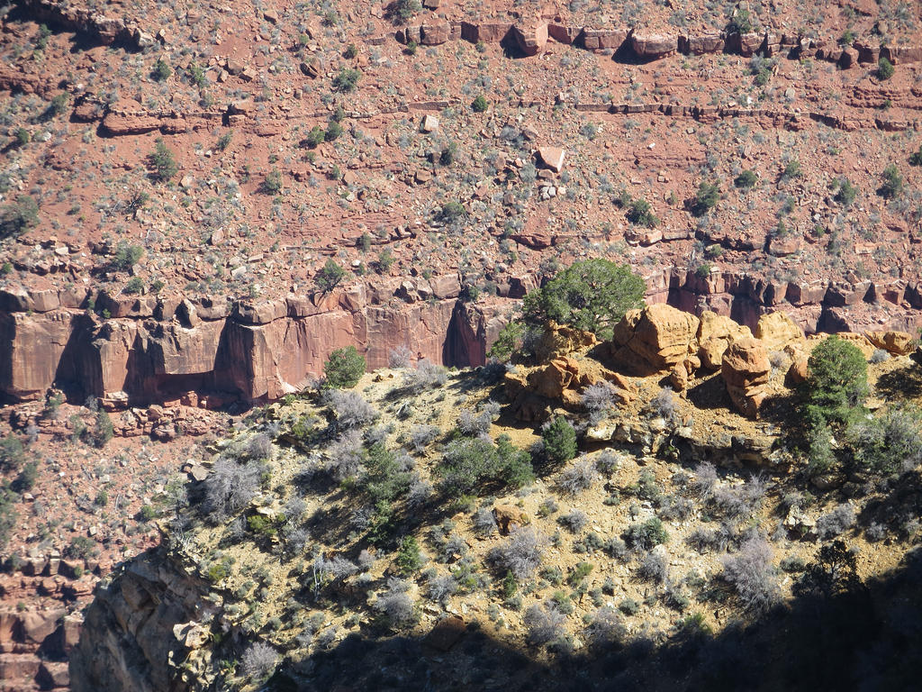 Grand Canyon (2)