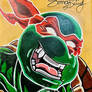 Teenage Mutant Ninja Turtle: Raphael