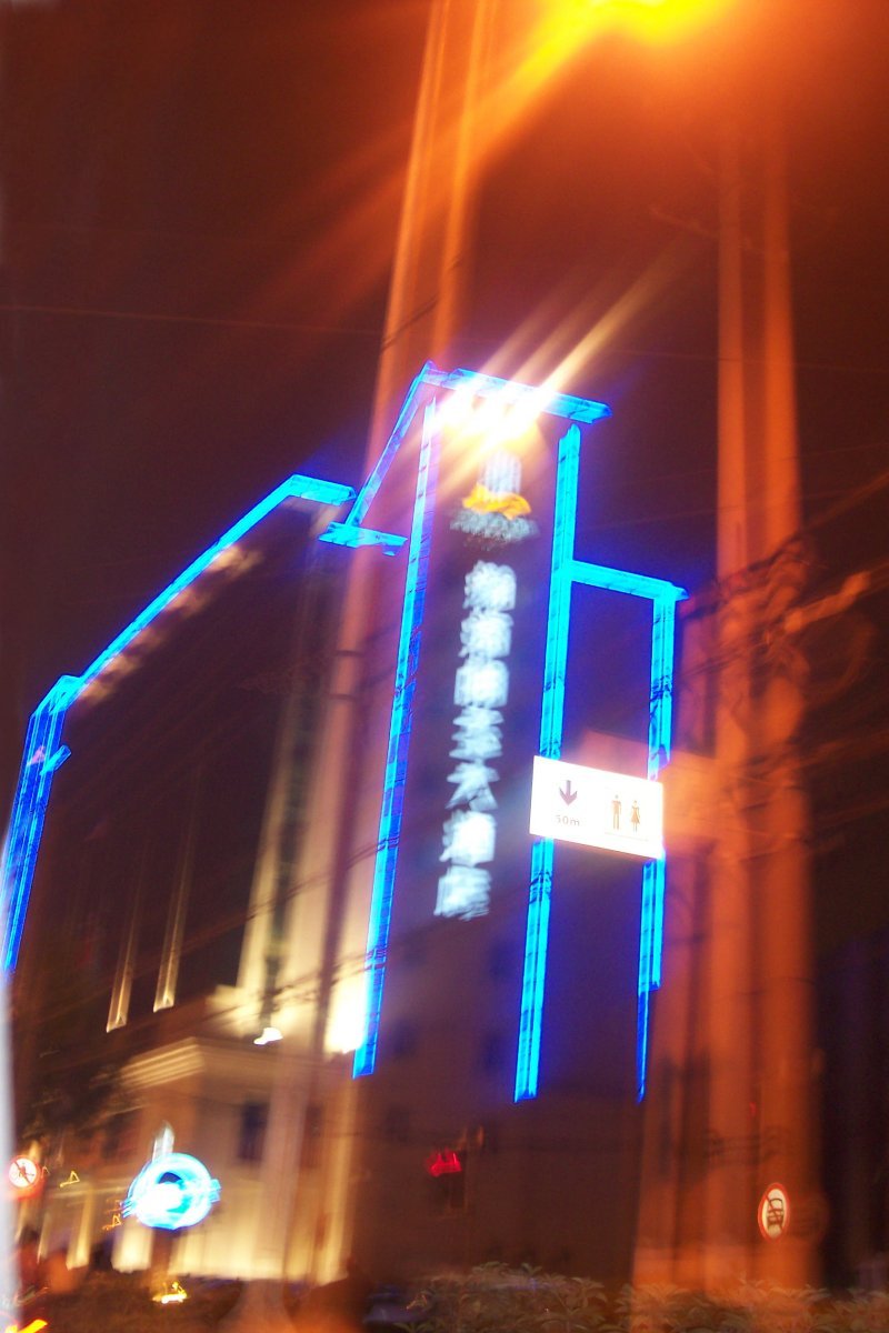 The Blue Hotel