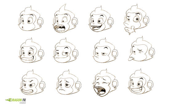 Monkey  facial expressions