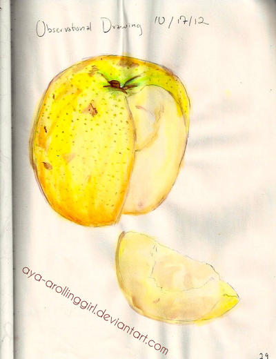 sketchbook 2-39 asian pear