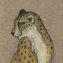 ACEO cheetah