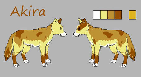 Akira - Ref Sheet