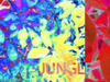 JuNGLE mUsic