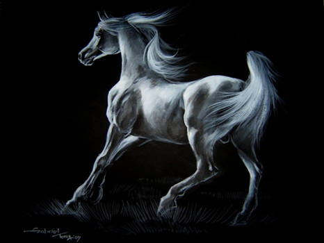 Arabian running stallion