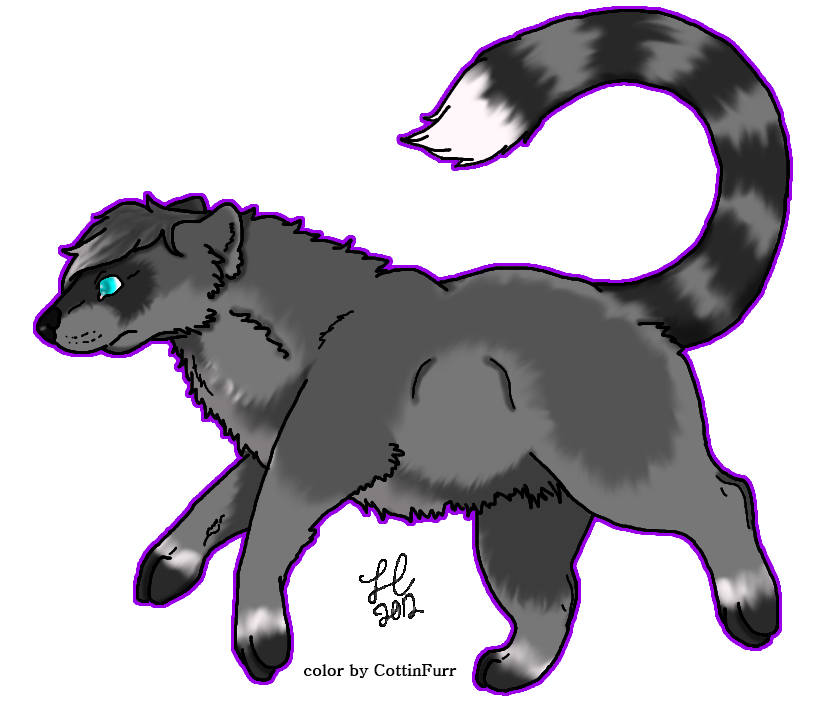 Terra the Raccoon Dog