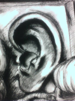 Ear.still.life