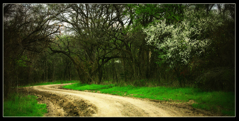 country road