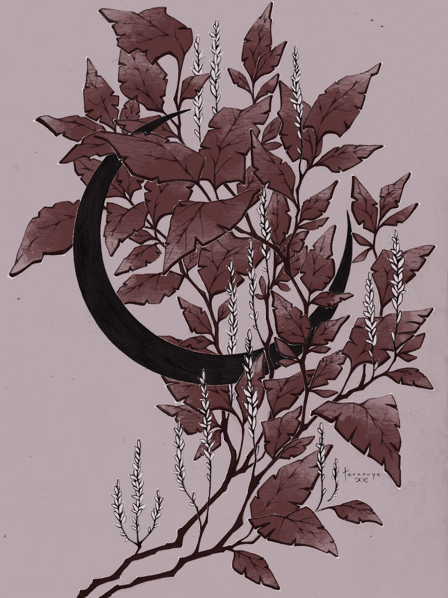 crescent