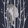 winter night