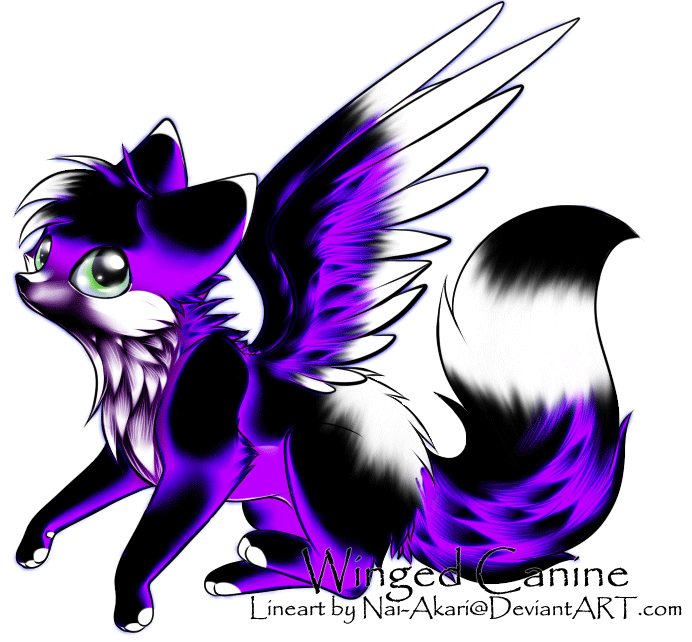 Winged-canine adoptable :CLOSED: