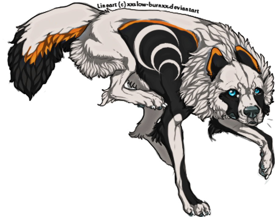 Wolf Adoptable :OPEN: