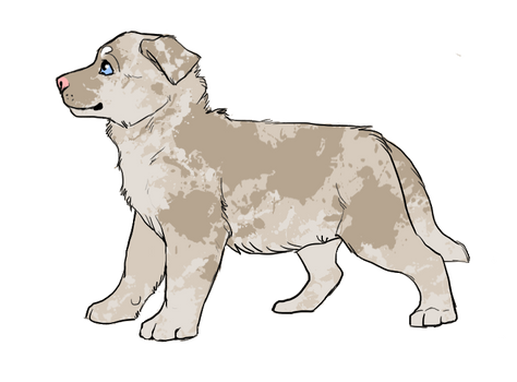 Pup Adoptable :OPEN: