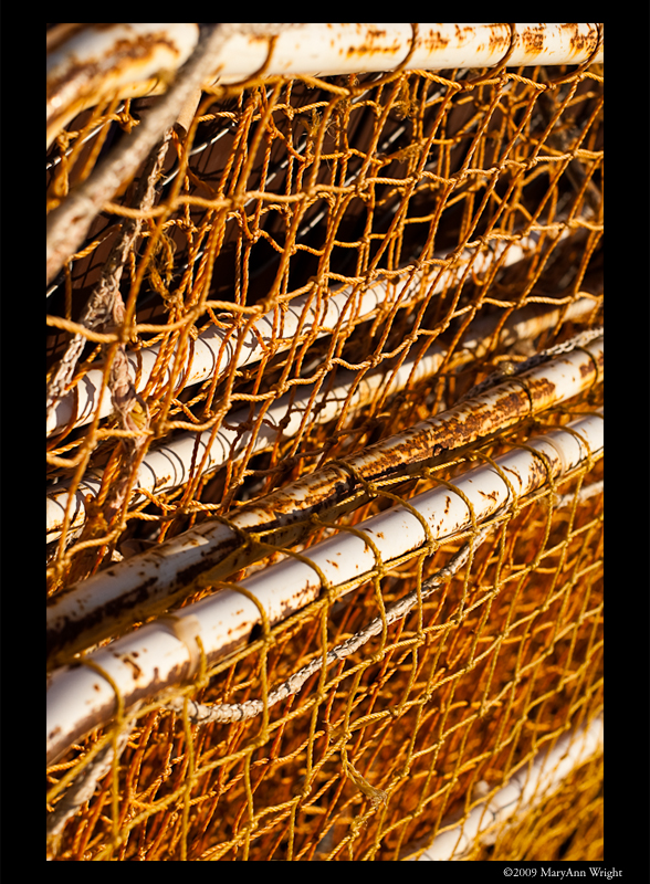 Netting