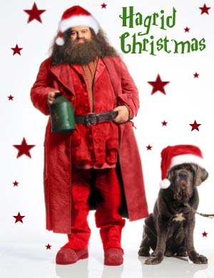 Hagrid Christmas by MiLenaFernandes on DeviantArt