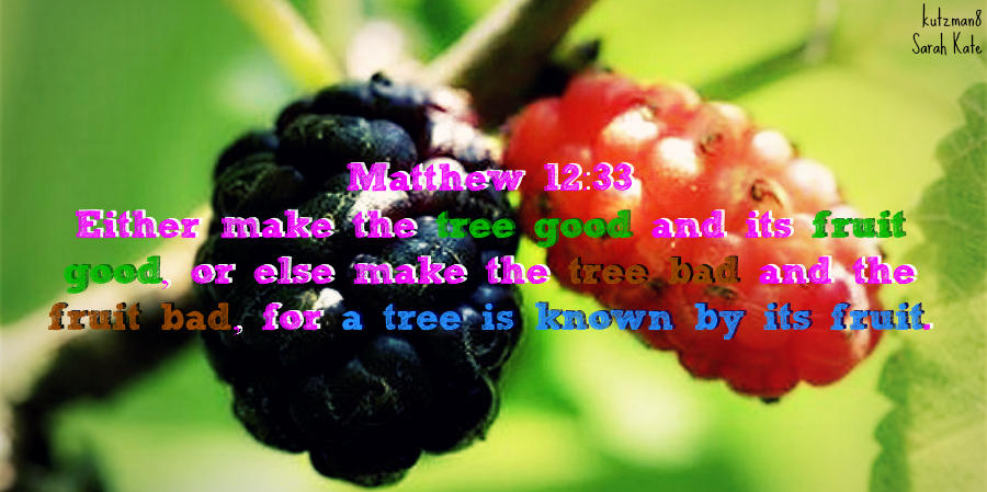 Matthew 12 33 By Kutzman8 On DeviantArt matthew-12-33-by-kutzman8-on-deviantart