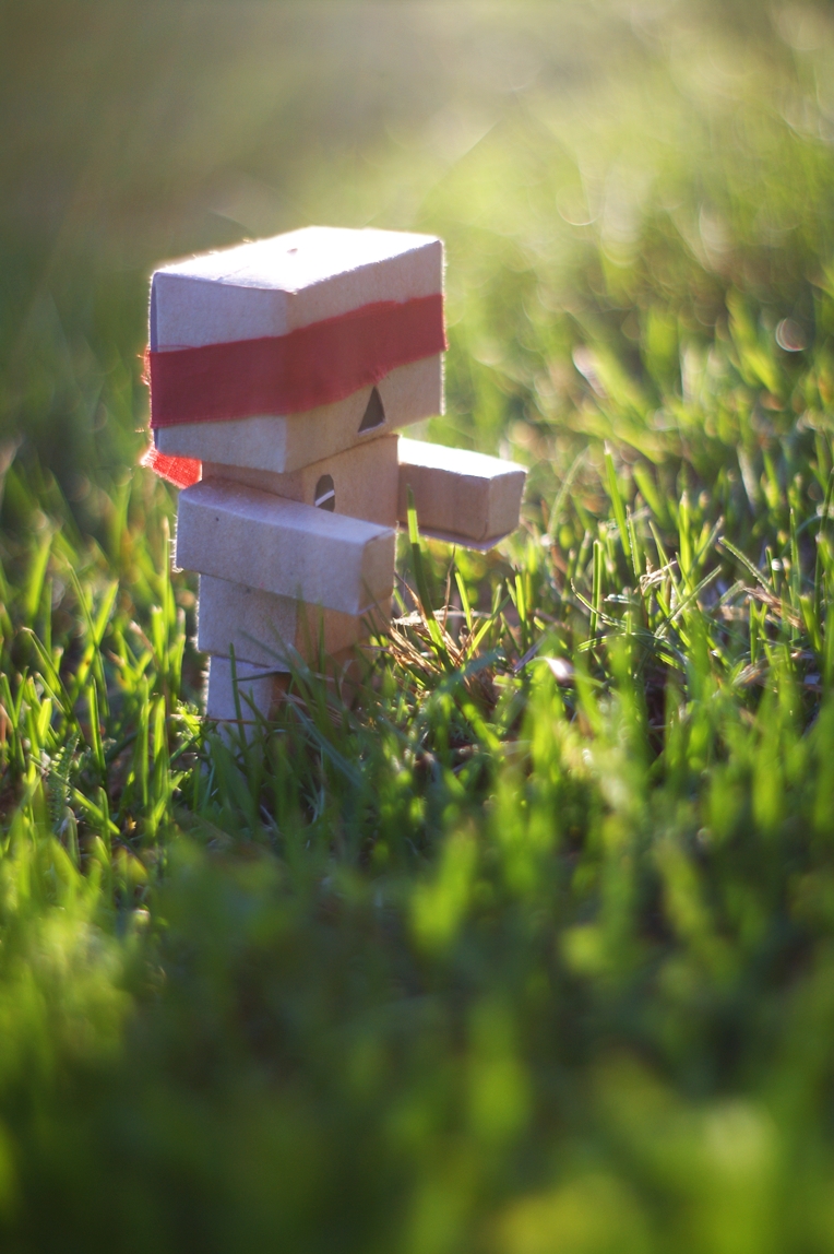 Danbo VI