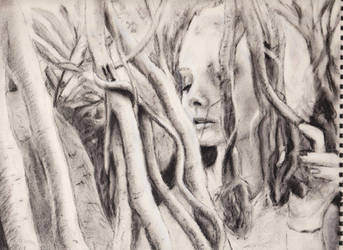 Woman and the trees